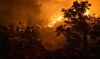 Portugal battles ferocious wildfires as toll rises to seven