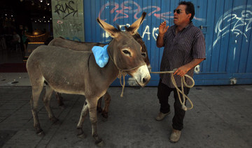 Fresh donkey milk for sale on streets of Chile