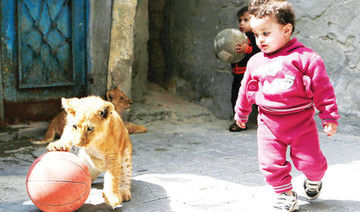 Lion cubs turn into stars of Gaza family