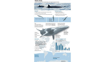 Japan’s whaling science under the microscope