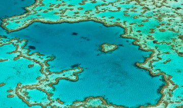 Australia’s Great Barrier Reef kept off UNESCO ‘danger’ list for now