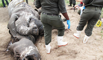 Poachers kill wildlife pilot, arrested