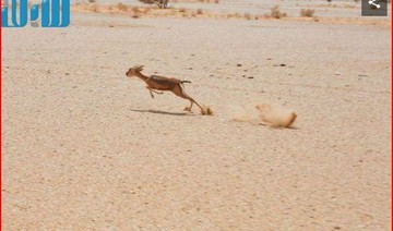 Eco-tourism development in Empty Quarter gains traction