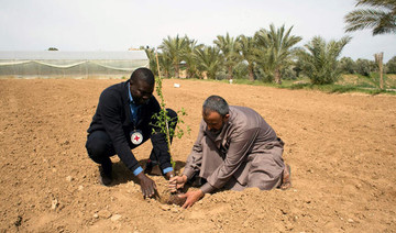 Almond trees donated to Gaza