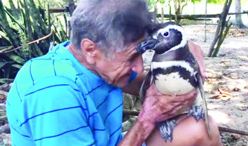 Penguin swims miles every year to meet the man who saved it