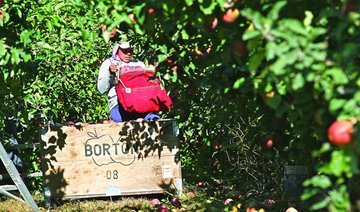 Robotic fruit pickers may help orchards with worker shortage