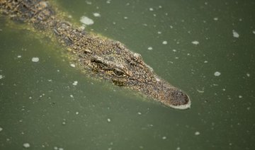 Zimbabwe pastor eaten by crocodiles while trying to walk on water