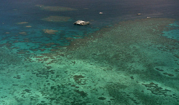 UNESCO has ‘serious concern’ over Great Barrier Reef coral