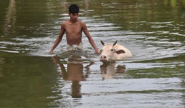 Heavy monsoon rains lash western India, killing 16