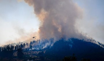 After France and Portugal, Spain battles forest fire