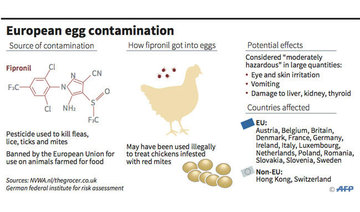 Contaminated eggs scandal spreads from Europe to Asia