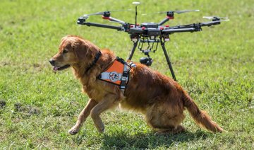 Go fetch! Drones help Swiss rescue dogs find the missing