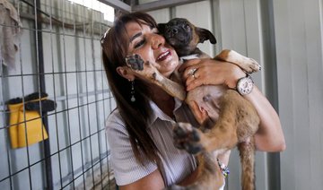 Palestinian ex-banker devotes her life to West Bank dogs