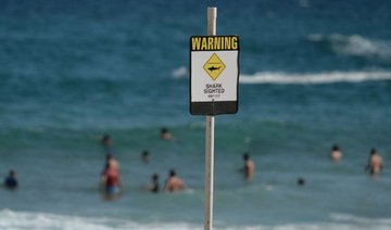 Surfer ‘mauled in Australia shark attack’