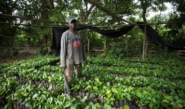 Ghana wakes up and smells the coffee