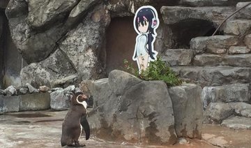 Japan zoo mourns death of love-struck penguin