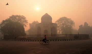 New Delhi shuts power plant in fight against Diwali smog