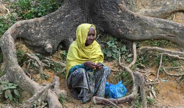 Bangladesh eyes sterilization to curb Rohingya population