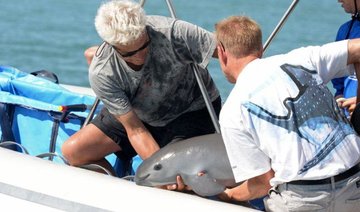 Mexico captures rare vaquita porpoise in bid to save species