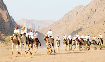 Storyteller Tent at Saudi National Camel Festival