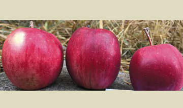 5 types of apples, once thought extinct, are rediscovered