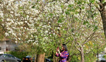 As Islamabad’s trees disappear, its children lead a green offensive