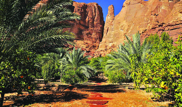 AlUla oasis