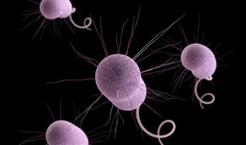 CDC: Drug-resistant ‘nightmare bacteria’ pose growing threat