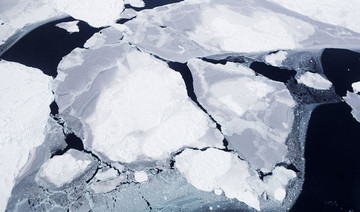 Thaw of Antarctic ice lifts up land, might slow sea level rise