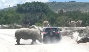 Rhino charges family's SUV at Mexico zoo park 