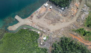 Solomon Islands’ forests felled fast to feed China demand — Global Witness