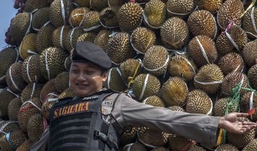 Passengers create stink over pungent Indonesian planeload of durian