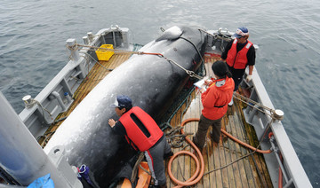 Japan will resume commercial whaling, but not in Antarctic