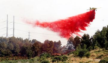 Palestine, Egypt offer  air support as Israel  battles wildfires