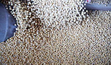 Millions of tons of US  soy shipped to China  in trade consensus