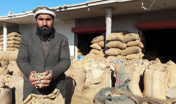 Pakistan’s groundnut farmers thrive amid India trade ban