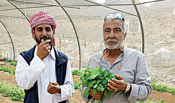 A Sinai desert community in Egypt leads the way in agritourism