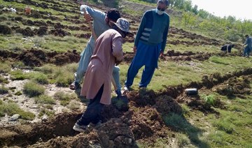 As a ‘green stimulus’ Pakistan sets virus-idled to work planting trees