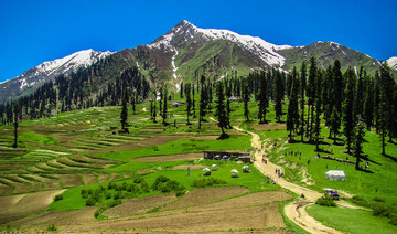 Climate change: Planting trees in Pakistan during the lockdown