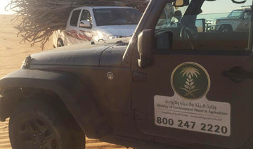 Saudi authorities confiscate 150 tons of local firewood