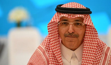 Saudi finance minister authorized to amend customs duties, protect national industries