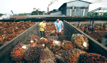 Indonesia, Malaysia hold talks to counter palm oil bias