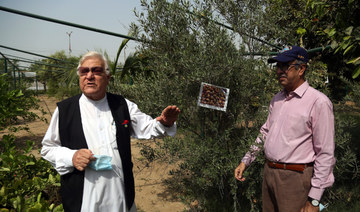 Inspired by Sharjah orchard, Pakistani man plants ‘first Islamic garden’ in Karachi