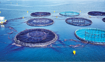 KAUST leading Saudi Arabia’s progress in aquaculture