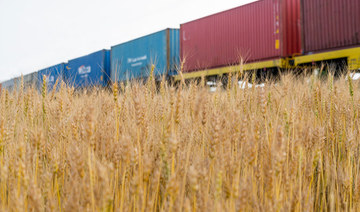 Egypt has also bought about 63,000 tons of wheat from Romania and recently received a further shipment of the grain from France. (Shutterstock)