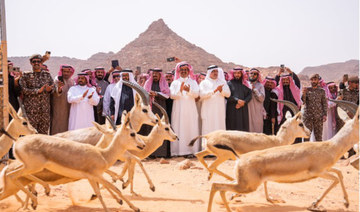 Saudi wildlife center releases 200 endangered animals into King Salman Royal Natural Reserve