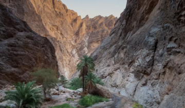 NEOM launches regreening initiative to plant 100 million trees