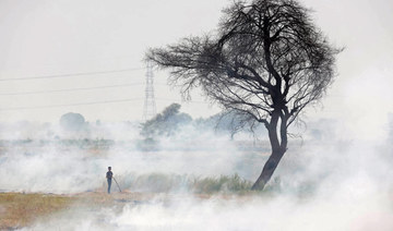 A worker burns stubble after harvesting pulse crop in a field at Hoshangabad district of India's Madhya Pradesh state.