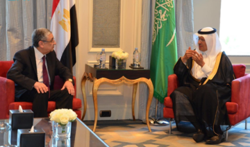 Saudi, Egyptian energy ministers review progress on $1.8bn electrical interconnection project