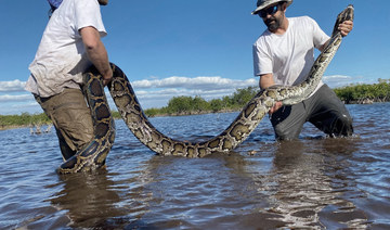 Florida team hauls in 18-foot, 215-pound Burmese python